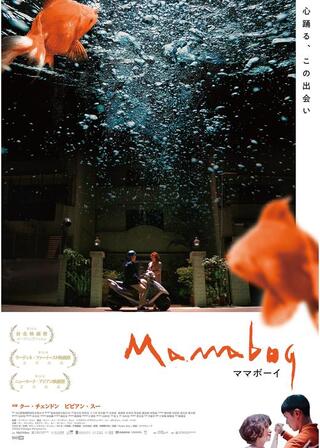 ママボーイのポスター