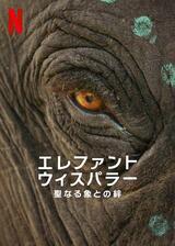 エレファント・ウィスパラー：聖なる象との絆のポスター