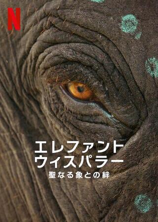 エレファント・ウィスパラー：聖なる象との絆のポスター