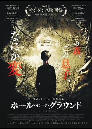 ホール・イン・ザ・グラウンドのポスター