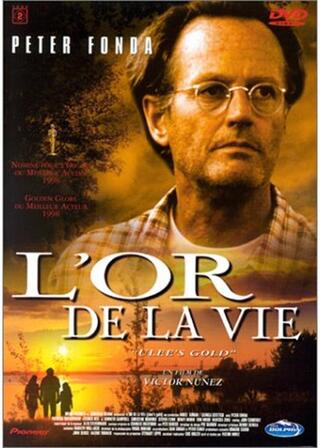 木洩れ日の中でのポスター