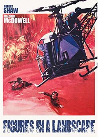 雪崩のポスター