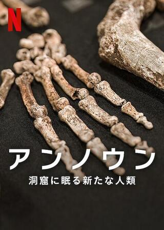 アンノウン: 洞窟に眠る新たな人類のポスター