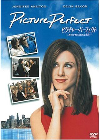 ピクチャー・パーフェクト／彼女が彼に決めた理由（わけ）のポスター