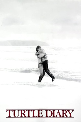 海に帰る日のポスター