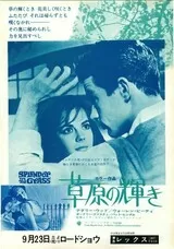 草原の輝きのポスター