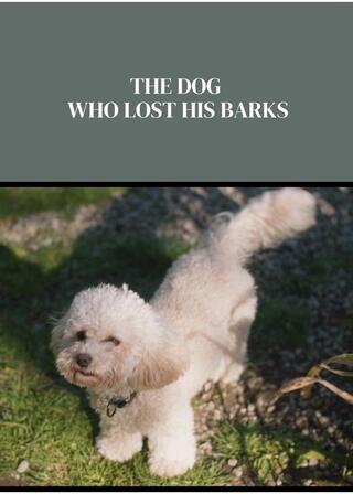 吠えるのをやめた犬のポスター