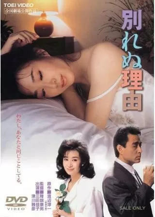 別れぬ理由のポスター