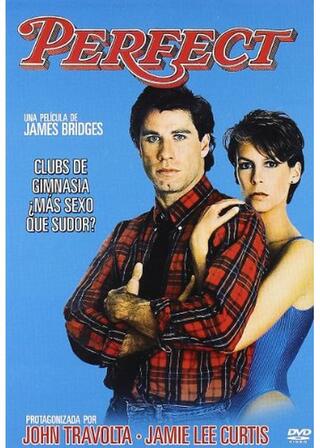 パーフェクトのポスター