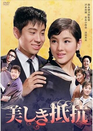 美しき抵抗のポスター