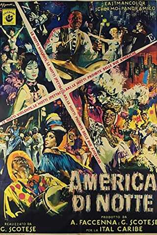 アメリカの夜のポスター