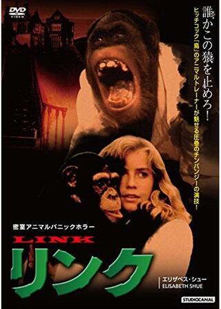 リンクのポスター