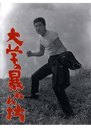 大学の暴れん坊のポスター