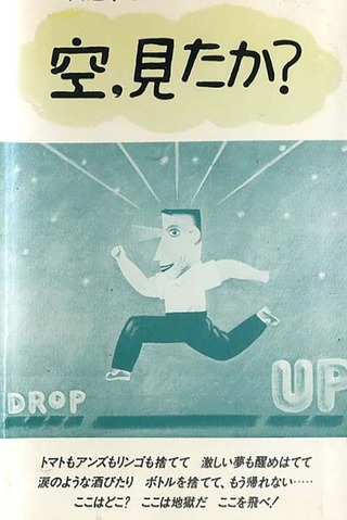 空、みたか?のポスター
