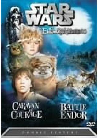 エンドア／魔空の妖精のポスター