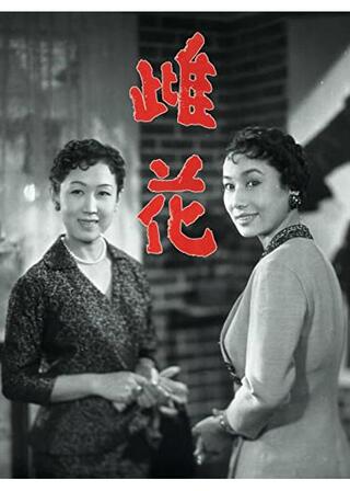 雌花のポスター