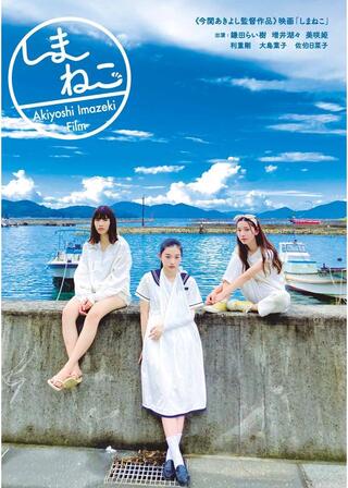 しまねこのポスター