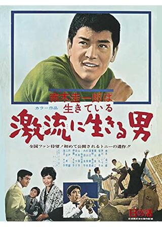 赤木圭一郎は生きている 激流に生きる男のポスター