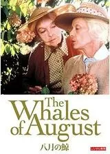 八月の鯨のポスター