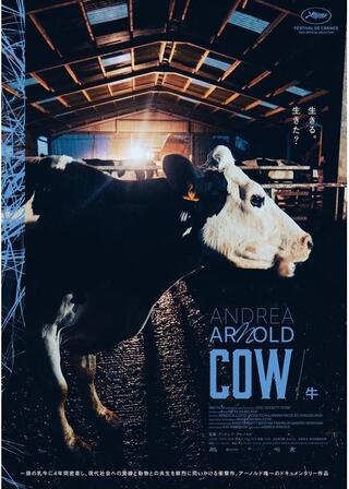 COW／牛のポスター