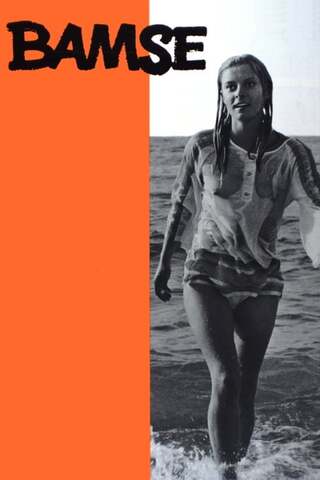 慕情のひとのポスター