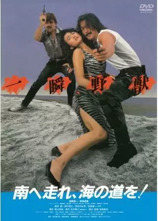 南へ走れ、海の道を!のポスター