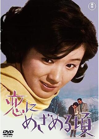 恋にめざめる頃のポスター