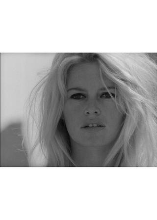 パパラッツィのポスター