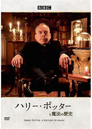 ハリー・ポッターと魔法の歴史のポスター