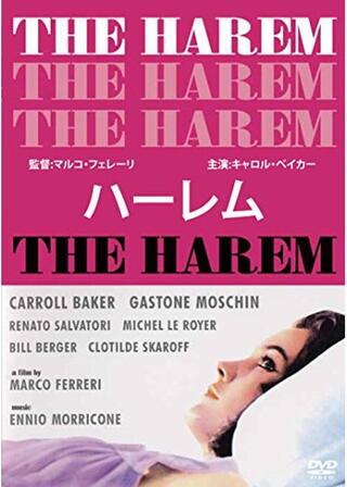 ハーレムのポスター