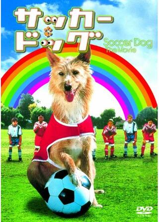 サッカー・ドッグのポスター