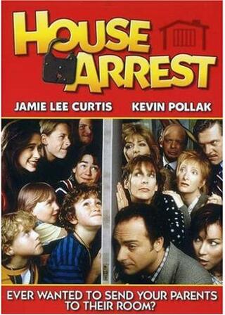 パーフェクト・ファミリーのポスター