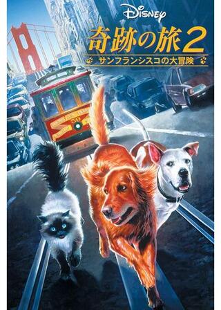 奇跡の旅2/サンフランシスコの大冒険のポスター