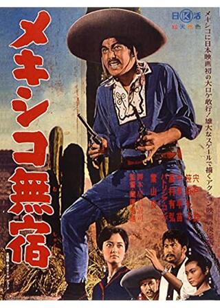 メキシコ無宿のポスター
