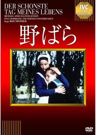 野ばらのポスター