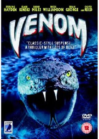 恐るべき訪問者のポスター