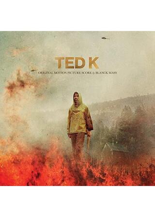 テッド K ユナボマー 狂気の目覚めのポスター