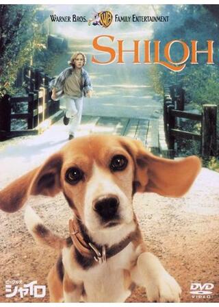 ビーグル犬 シャイロのポスター