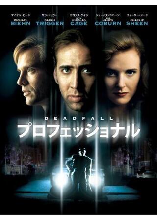 プロフェッショナルのポスター