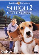 ビーグル犬 シャイロ2のポスター