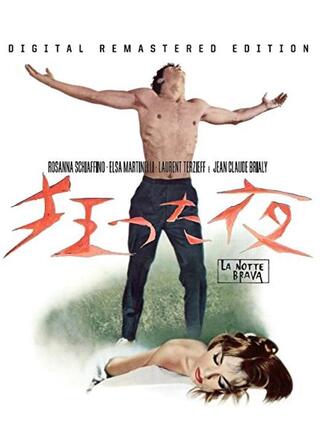 狂った夜のポスター