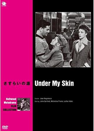 さすらいの涯のポスター