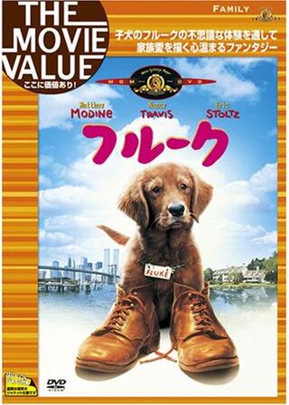 フルークのポスター