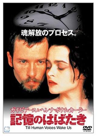 記憶のはばたきのポスター