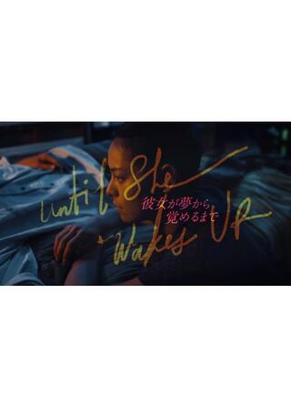 彼女が夢から覚めるまでのポスター
