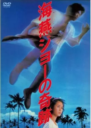 海燕ジョーの奇跡のポスター