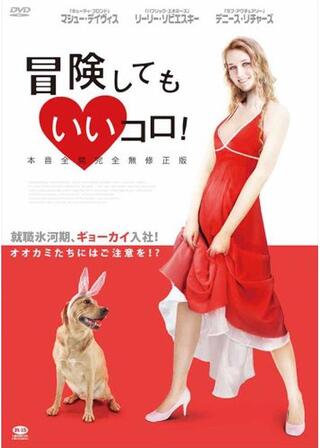 冒険してもいいコロ！のポスター