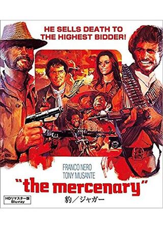 豹／ジャガーのポスター