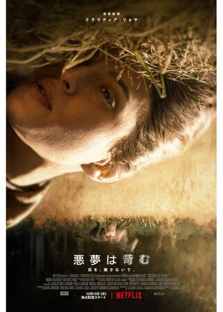 悪夢は苛むのポスター