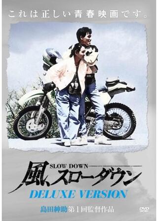 風、スローダウンのポスター
